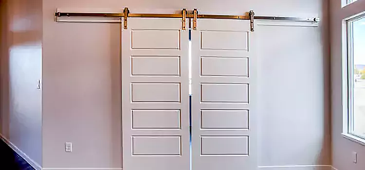 Glass Barn Door with Installation Hardware Kit Bowmanville